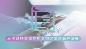 发挥品牌重要作用实现经济双循环发展图1