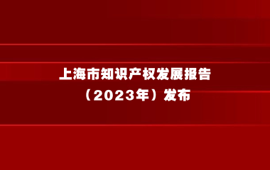 转发 |《上海市知识产权发展报告（2023年）》发布