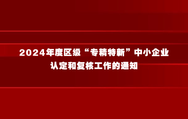 松江区经济委员会关于组织开展2024年度区级“专精特新”中小企业认定和复核工作的通知