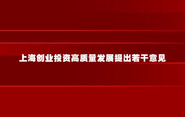 上海市人民政府办公厅关于进一步推动上海创业投资高质量发展的若干意见