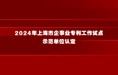 上海市知识产权局关于组织开展2024年上海市企事业专利工作试点示范单位认定工作的通知