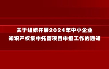 关于组织开展2024年中小企业知识产权集中托管项目申报工作的通知