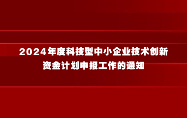 关于组织开展上海市2024年度科技型中小企业技术创新资金计划申报工作的通知