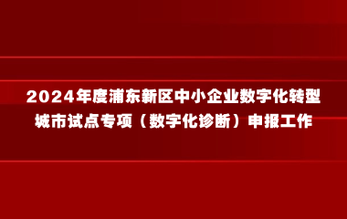 关于开展2024年度浦东新区中小企业数字化转型城市试点专项（数字化诊断）申报工作的通知