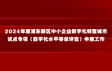 关于开展2024年度浦东新区中小企业数字化转型城市试点专项（数字化水平等级评定）申报工作的通知