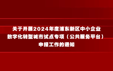 关于开展2024年度浦东新区中小企业数字化转型城市试点专项（公共服务平台）申报工作的通知