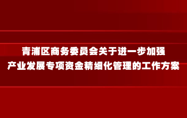 青浦区商务委员会关于进一步加强产业发展专项资金精细化管理的工作方案（试行）