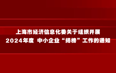 上海市经济信息化委关于组织开展2024年度 中小企业“揭榜”工作的通知