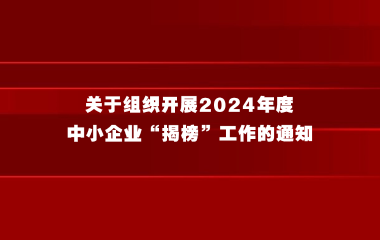 关于组织开展2024年度 中小企业“揭榜”工作的通知