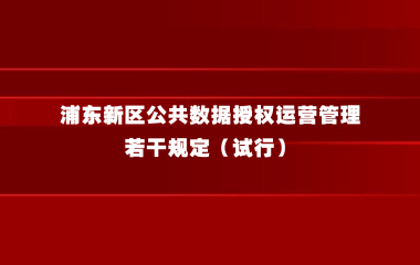 浦东新区公共数据授权运营管理若干规定（试行）