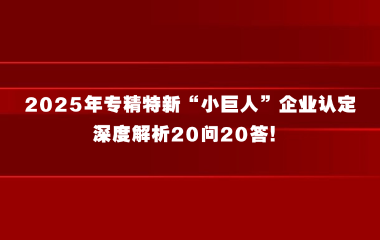 2025年专精特新“小巨人”企业认定深度解析20问20答！