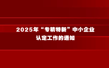 关于开展 2025 年“专精特新”中小企业认定工作的通知