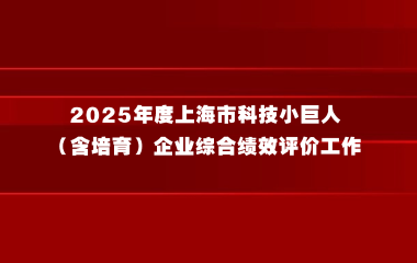 上海市科学技术委员会关于开展2025年度上海市科技小巨人（含培育）企业综合绩效评价工作的通知