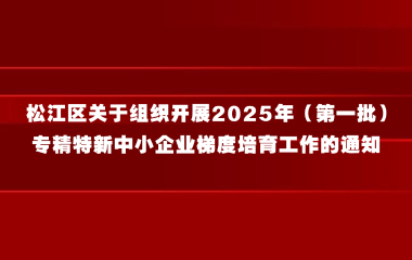 松江区关于组织开展2025年（第一批）专精特新中小企业梯度培育工作的通知