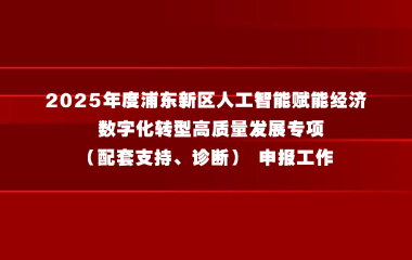 关于开展2025年度浦东新区人工智能赋能经济 数字化转型高质量发展专项（配套支持、诊断） 申报工作的通知