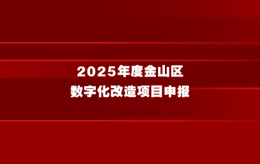 关于开展2025年度金山区数字化改造项目申报的通知